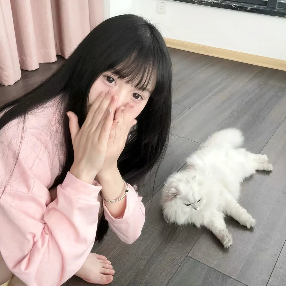 西柏坡2:英雄王二小